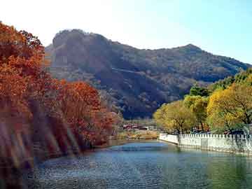 新澳天天开奖资料大全旅游团，杰德论坛